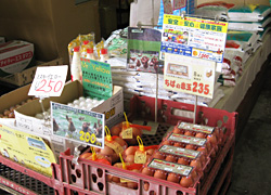 (株)千葉鶏卵センター店内写真