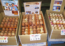 (株)フレッシュ鶏卵 店内写真