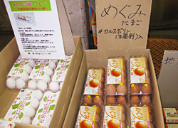 (株)フレッシュ鶏卵 店内写真