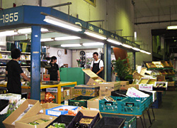 (株)さかい 店内写真